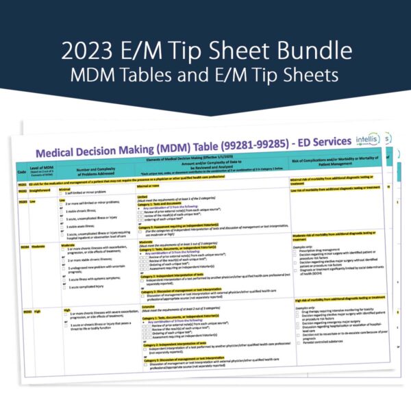 2024 E/M Tip Sheet Bundle - Single User